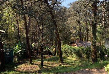 Lote de Terreno en  Calle Los Ailes, Valle De Bravo, México, 51226, Mex