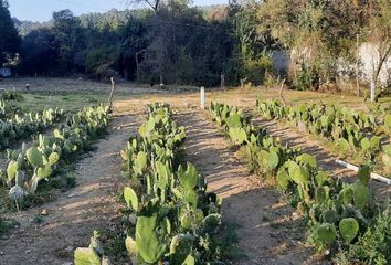 Lote de Terreno en  51268, Amanalco, México, Mex