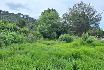 Lote de Terreno en  Lázaro Cárdenas, Pátzcuaro, Michoacán