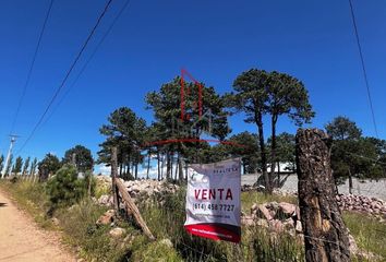 Lote de Terreno en  Guachochi, Chihuahua