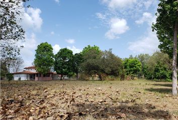 Lotes y Terrenos en  Chame