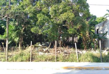 Lote de Terreno en  Árbol Grande, Ciudad Madero