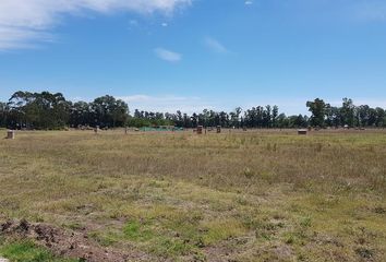 Terrenos en  Santo Tomás, Partido Del Pilar