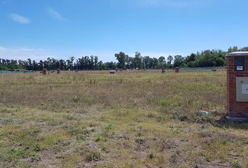 Terrenos en  Santo Tomás, Partido Del Pilar