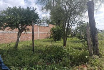 Lote de Terreno en  Calle Naranjo, Ejido Lo De Juárez, Irapuato, Guanajuato, 36633, Mex