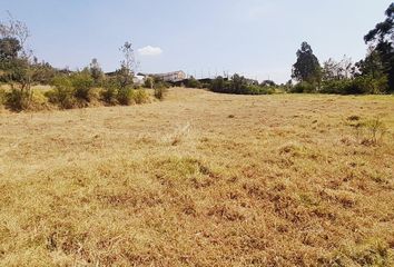 Terreno Comercial en  Uyumbicho, Mejia