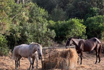 Chalet en  Navalmoral De La Mata, Cáceres Provincia