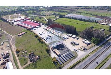 Bodega en  Maule, Talca