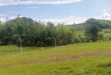 Lote de Terreno en  Viterbo, Caldas