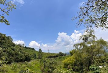 Lote de Terreno en  San Vicente, Centro Norte, Santa Rosa De Cabal