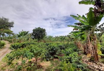 Lote de Terreno en  Cerritos, Pereira