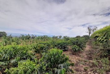 Lote de Terreno en  Cerritos, Pereira