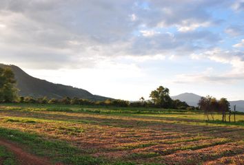 Rancho en  Pueblo Tlatenchi, Jojutla