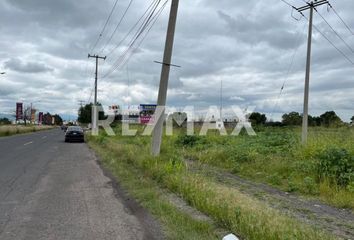 Lote de Terreno en  Avenida Los Pinos, Celaya, Guanajuato, 38295, Mex