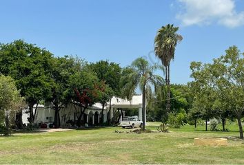 Lote de Terreno en  Porfirio Diaz, Linares