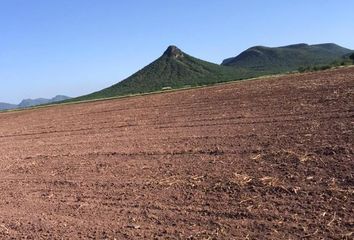 Rancho en  Salvador Alvarado, Sinaloa