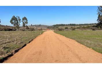 Parcela en  La Estrella, Cardenal Caro