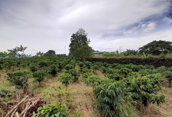 Lote de Terreno en  Cerritos, Pereira