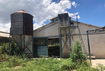 Lote de Terreno en  Calle Doctor Félix Flores Barrera, Vicente Riva Palacio, San Miguel Tocuila, Texcoco, México, 56200, Mex