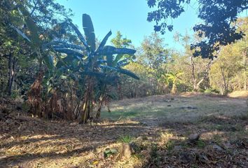 Lote de Terreno en  Carretera Guadalajara-zacatecas, Zapopan, Jalisco, 45205, Mex