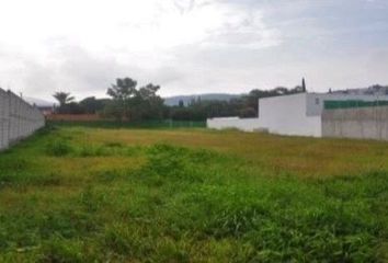 Lote de Terreno en  Paseo Misión De Tilaco 40-44, Colinas Del Bosque Primera Sección, El Pueblito, Corregidora, Querétaro, 76904, Mex