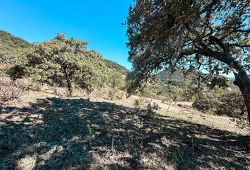 Lote de Terreno en  Pastita, Ciudad De Guanajuato