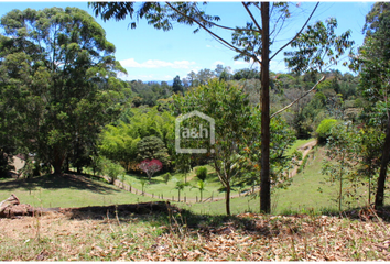 Lote de Terreno en  El Carmen De Viboral, Antioquia