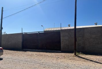 Galpónes/Bodegas en  Maipú, Mendoza