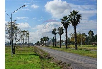 Terrenos en  Piñero, Santa Fe