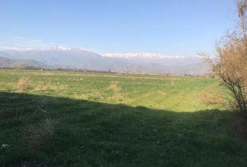 Parcela en  Colina, Chacabuco