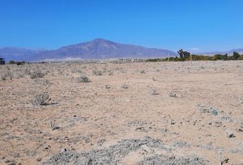 Parcela en  La Higuera, Elqui