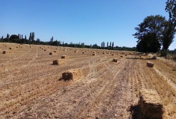 Parcela en  Coihueco, Ñuble (región)