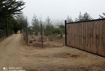 Parcela en  Algarrobo, San Antonio