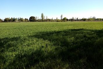 Parcela en  Coihueco, Ñuble (región)