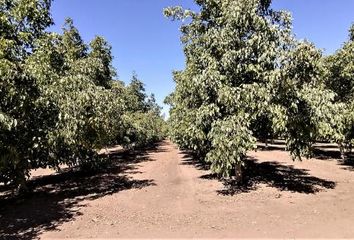 Parcela en  Rinconada, Los Andes