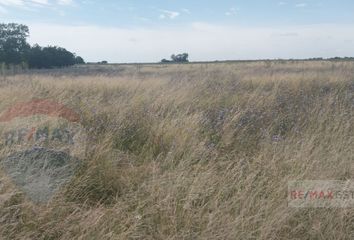 Terrenos en  Abasto, Partido De La Plata