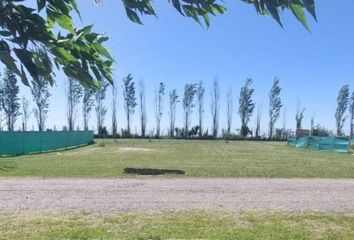 Terrenos en  Los Juncos, Partido De Luján