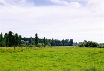 Parcela en  Los Ángeles, Bío-bío