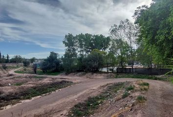 Terrenos en  Luján De Cuyo, Mendoza