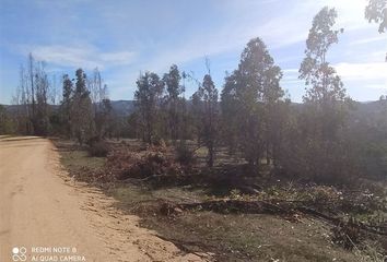 Parcela en  Peralillo, Colchagua