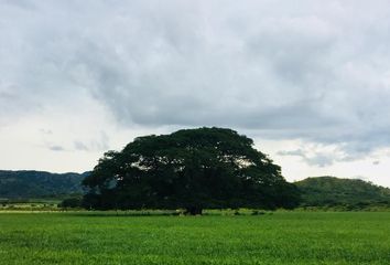 Rancho en  Calle Central Sur, Lázaro Cárdenas, Cintalapa, Chiapas, 30410, Mex