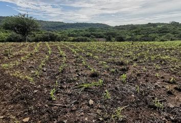 Lote de Terreno en  29147, Ocozocoautla De Espinosa, Chiapas, Mex