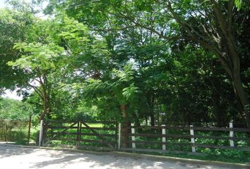 Lote de Terreno en  Carretera E.c., Chiapa De Corzo, Chiapas, 29169, Mex