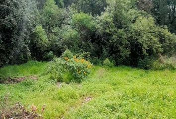 Lote de Terreno en  Huitzilac, Huitzilac, Huitzilac, Morelos