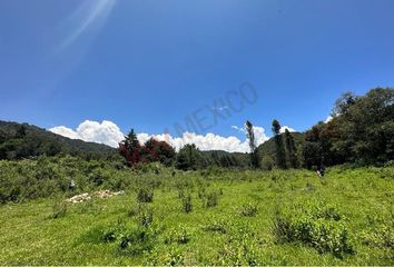 Lote de Terreno en  Tenancingo, Edo. De México, Estado De México