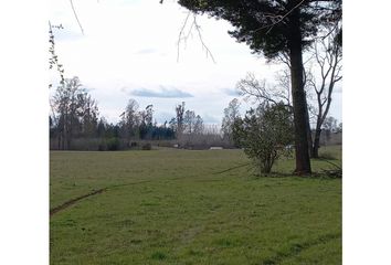 Parcela en  Loncoche, Cautín