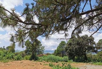 Lote de Terreno en  Tapalpa, Tapalpa, Tapalpa, Jalisco