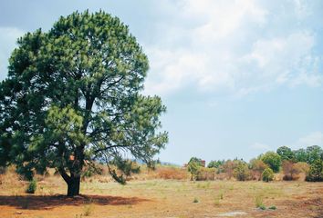 Lote de Terreno en  Tapalpa, Tapalpa, Tapalpa, Jalisco