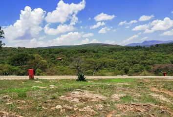 Lote de Terreno en  Tapalpa, Tapalpa, Tapalpa, Jalisco