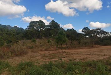 Lote de Terreno en  Tapalpa, Tapalpa, Tapalpa, Jalisco